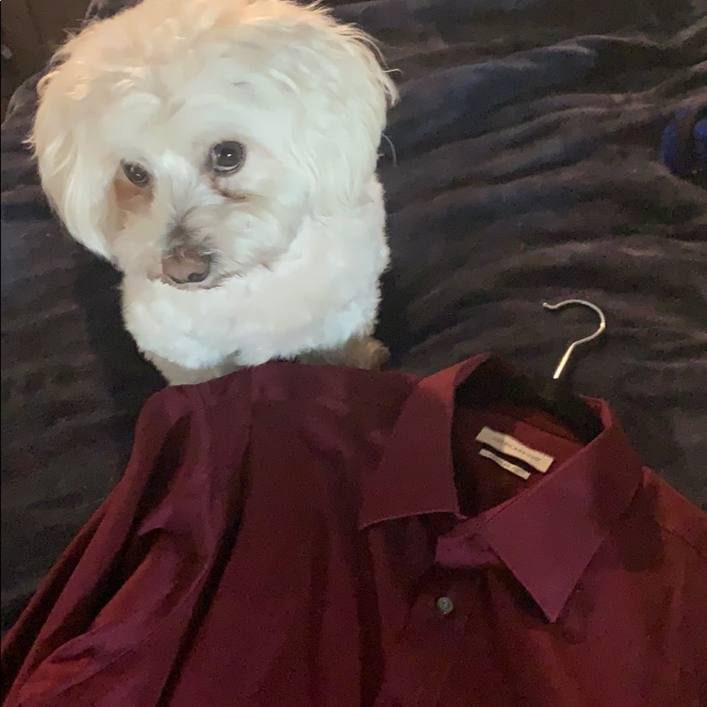Dress shirt